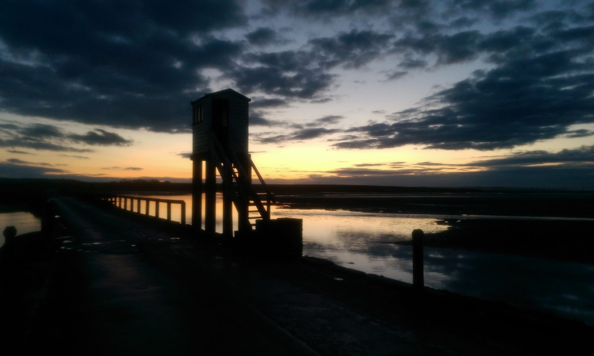 cropped-IMAG0356-1.jpg