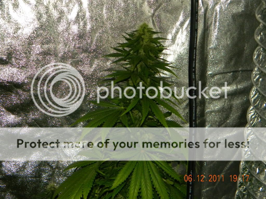 DSCN2362.jpg