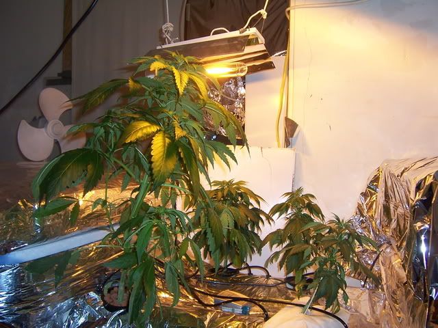 000_2630.jpg