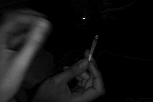 tumblr_mp6d3dsdpl1s2vf6ko1_500.gif