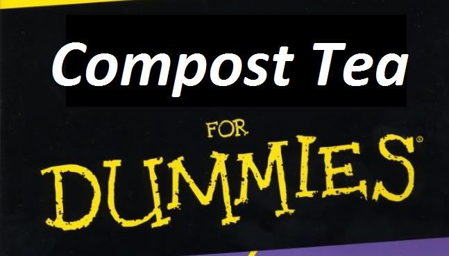 dummies.jpg