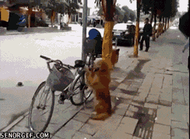 gifs_25.gif