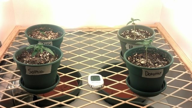 2012-09-04_18-23-51_745.jpg