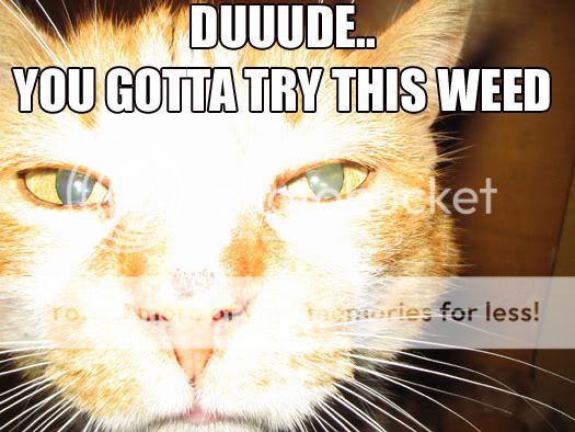 weed.jpg