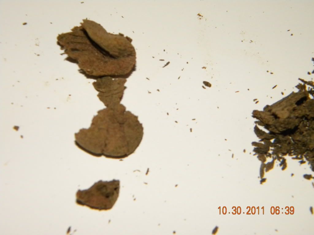 DSCN2987.jpg