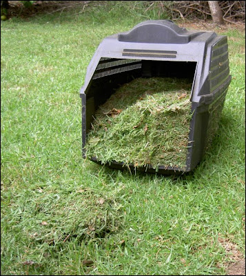 cut+grass.JPG