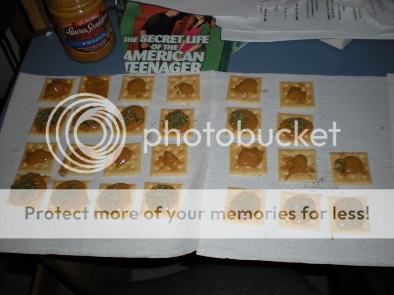 DSCN1065.jpg