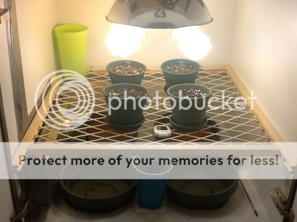 3d15401d530e20d070b945b8814bef54.jpg