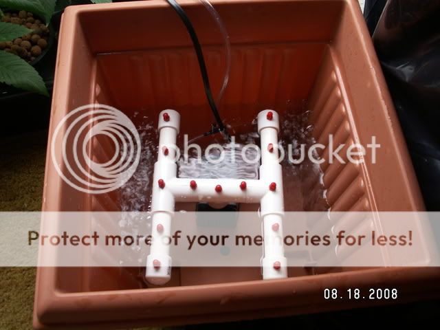 PICT0003.jpg