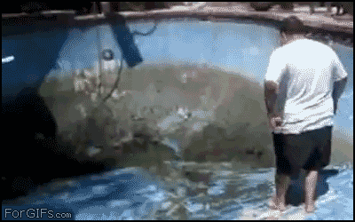 gif_03.gif