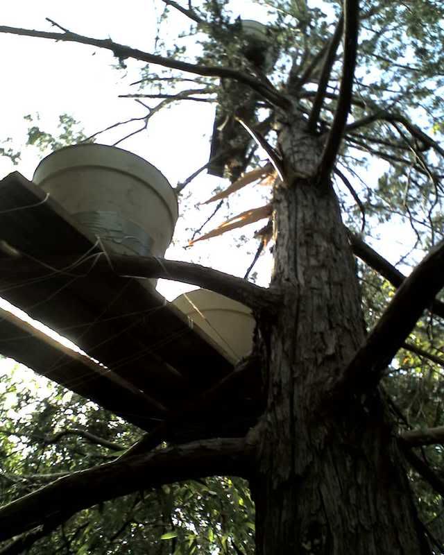 05-11-08_1707.jpg