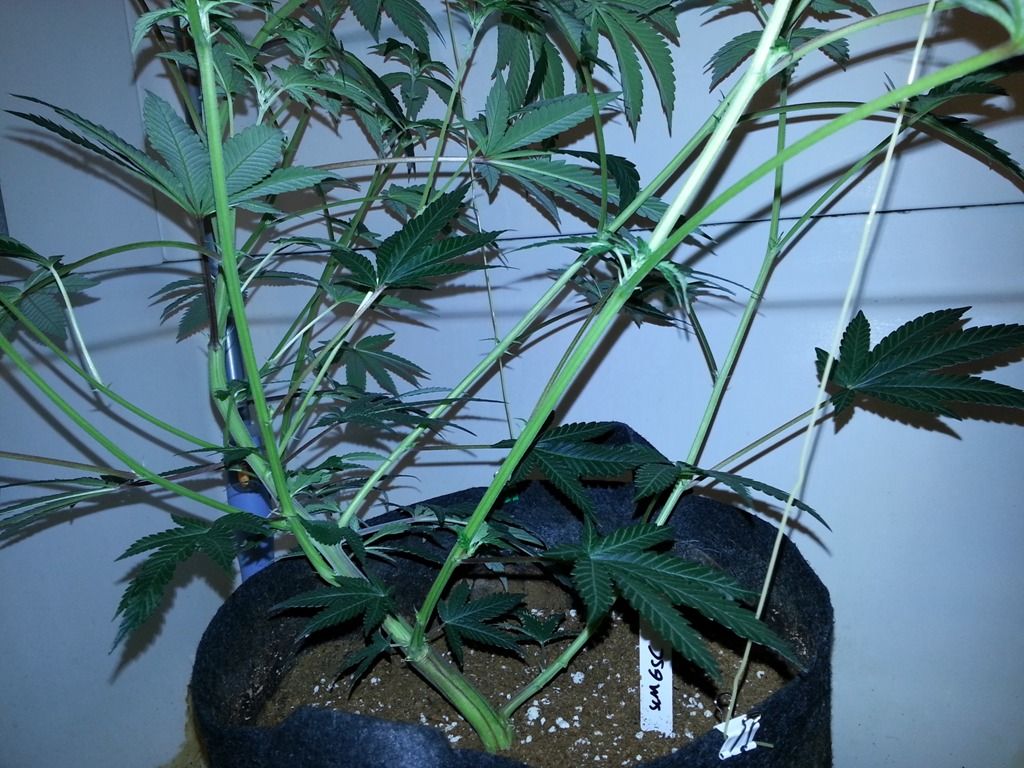 20120930_201859.jpg