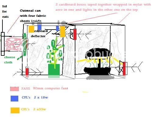 chopshopboxdesign.jpg