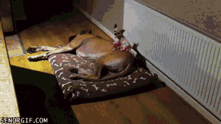 gifs_23.gif