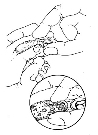 post-13626-138186640012.jpg