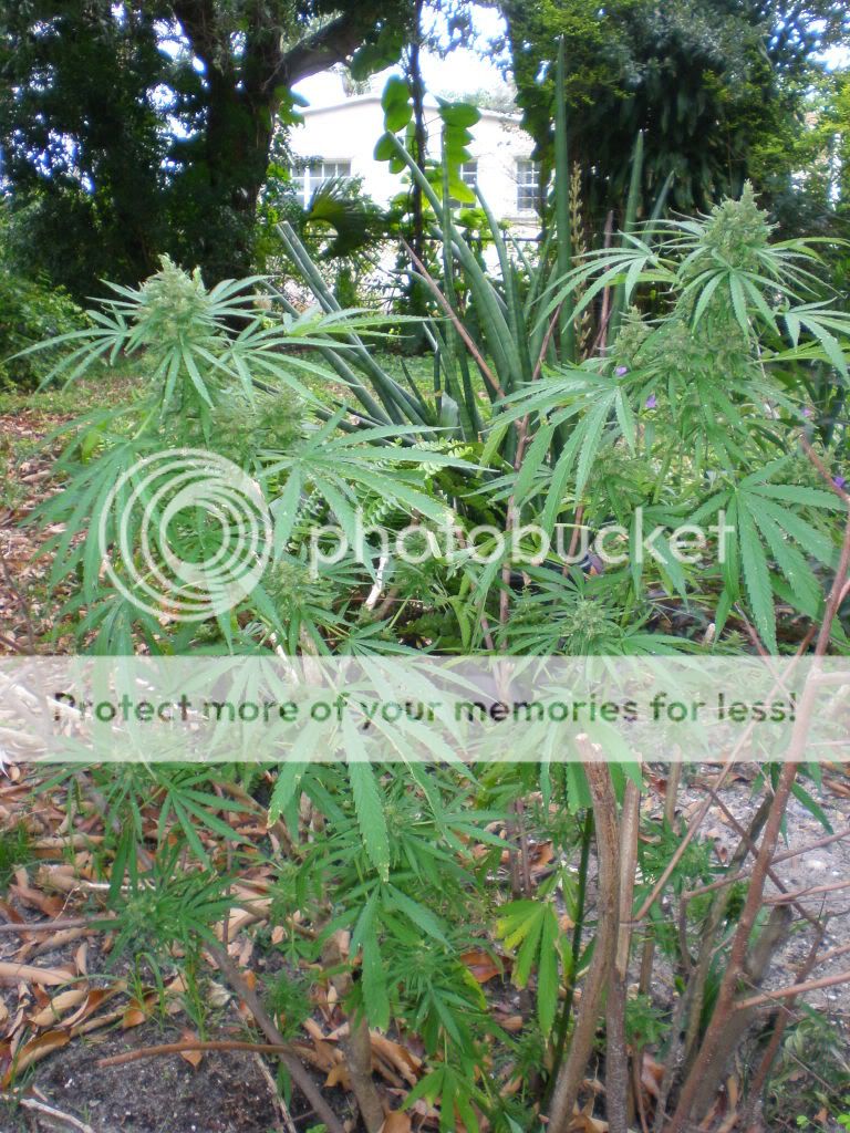 PC220025.jpg