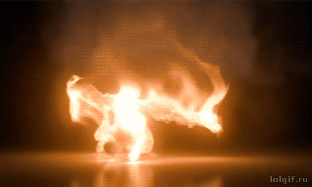 gif-roar-moo-lawwwd-1850758.gif