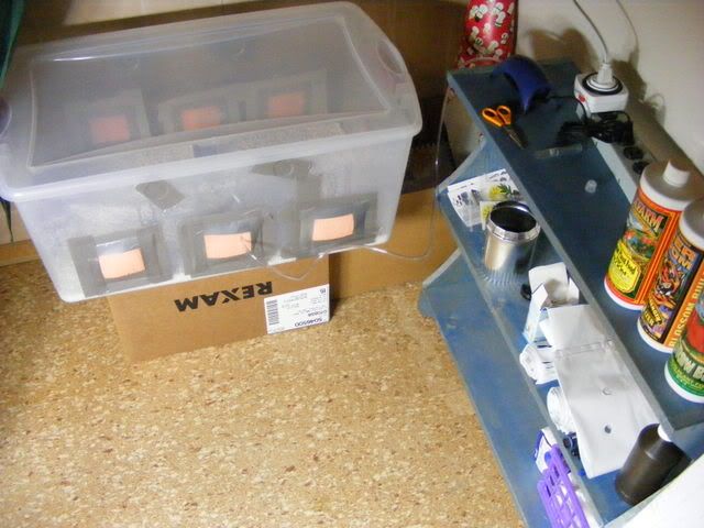 projects015-1.jpg