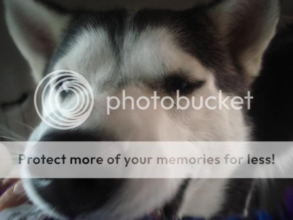 l_00a1e3f4c5fe845e989c117a4a08689b.jpg