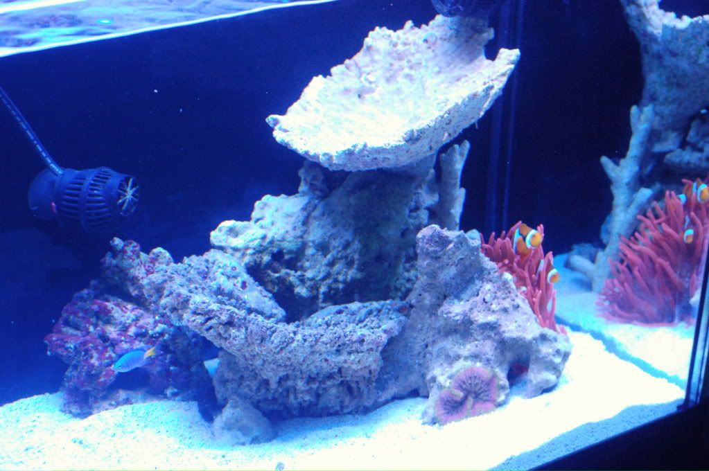 CSC_0219.jpg