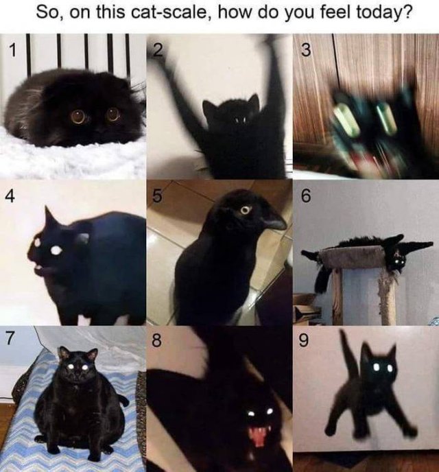 1568237196_uf695egpz9.jpg