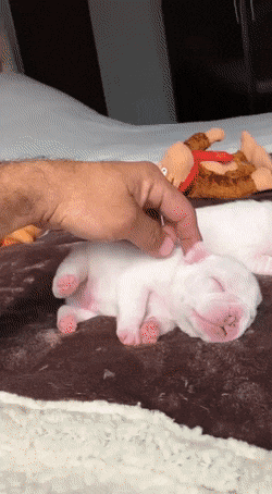 1658676401_25.gif