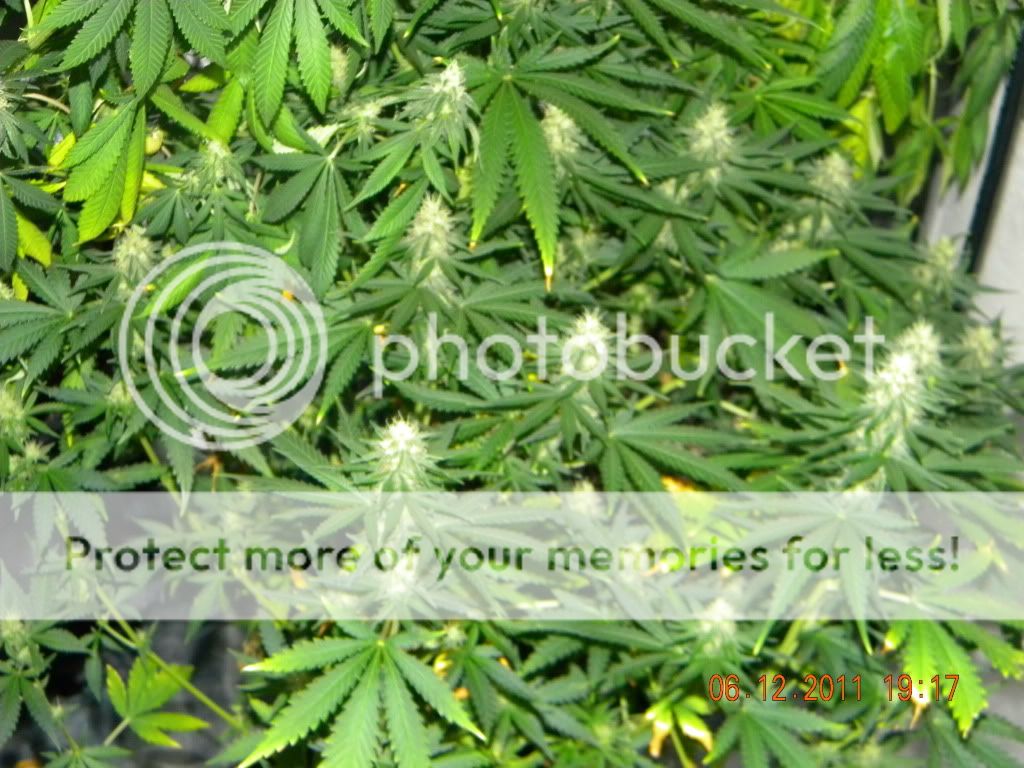 DSCN2361.jpg