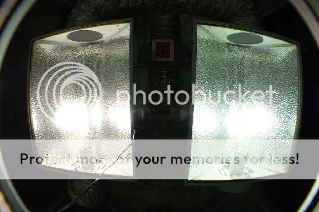 IMG_1778.jpg