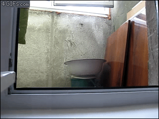 tumblr_m2orpeeZWM1rnjbbq.gif