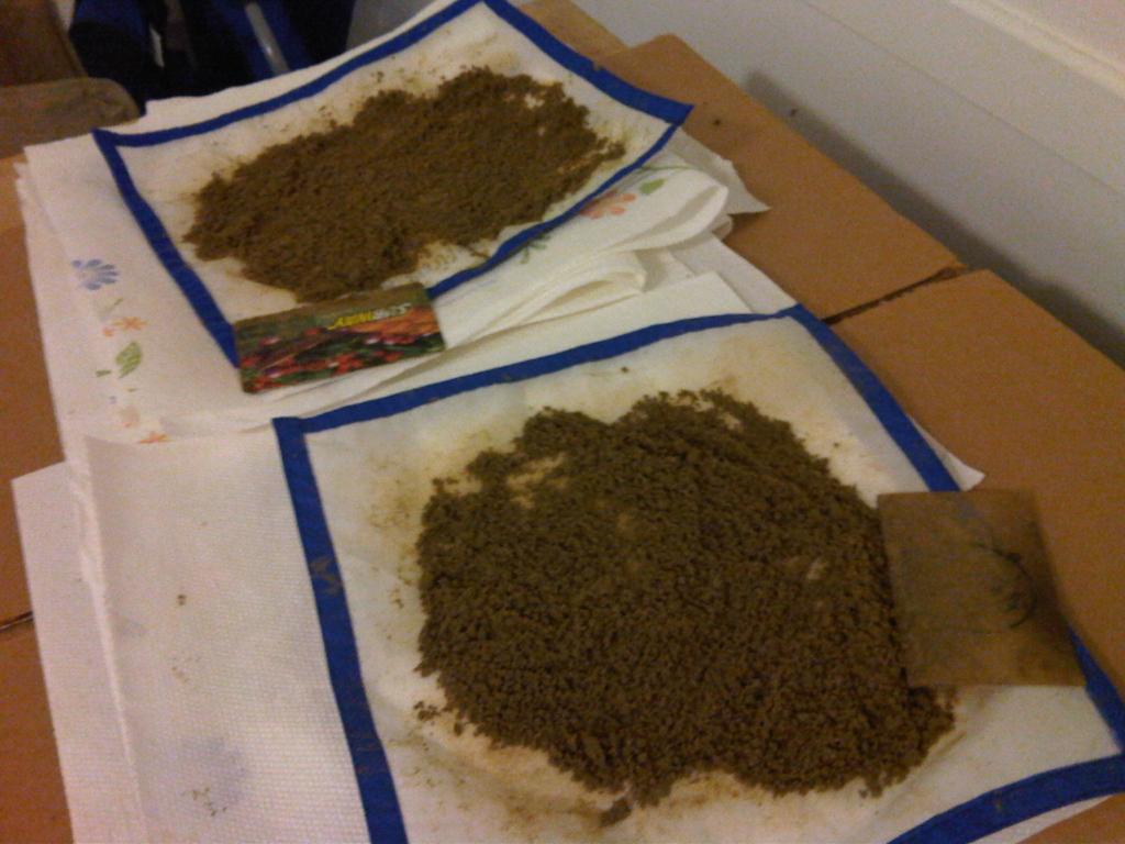 IMG00009-20091003-0000.jpg