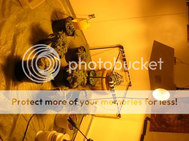 DSCN1111.jpg