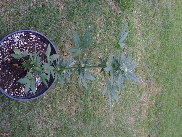 Picture027.jpg