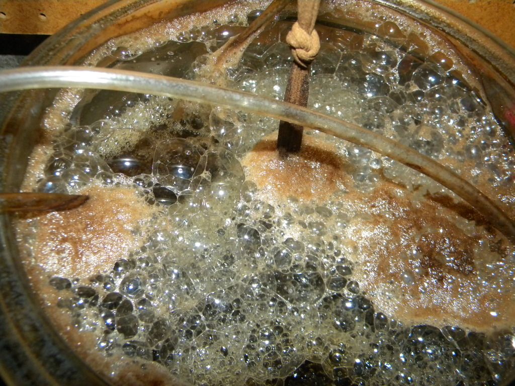 DSCN3780.jpg
