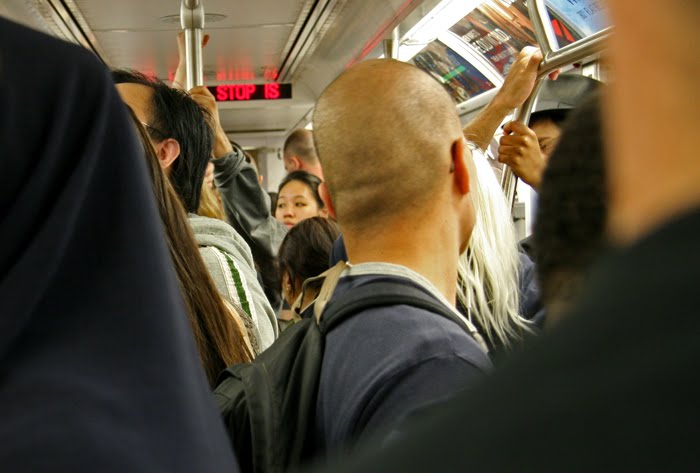 Sardines2.jpg