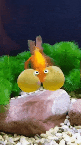 gifs_11.gif
