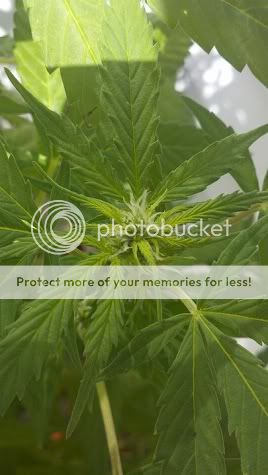 2011-09-16_11-39-09_705.jpg