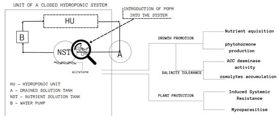 www.mdpi.com