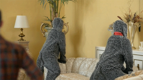 giphy.gif