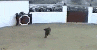 1588175513_7pwxab3iaz.gif