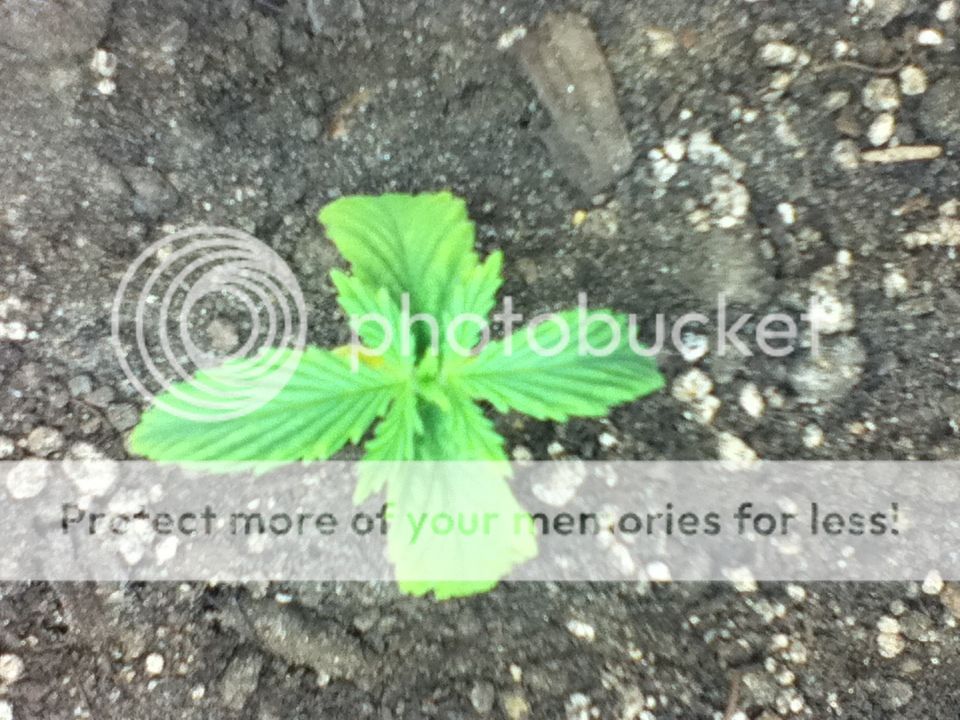 328589b5.jpg