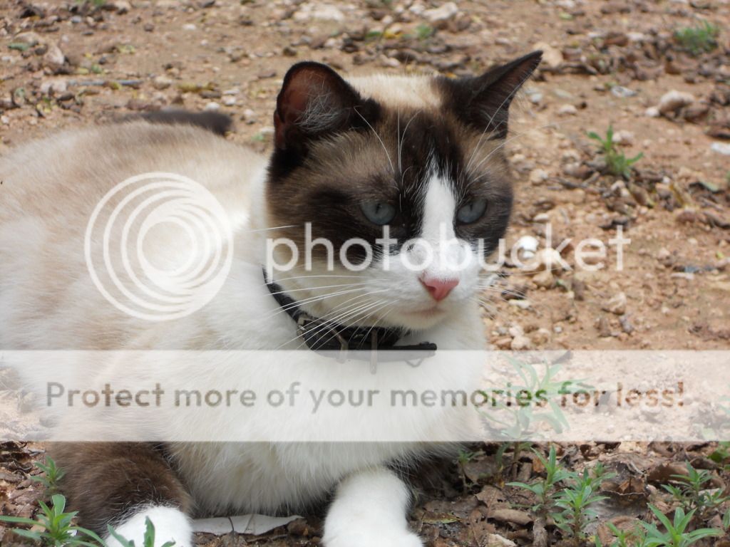 DSCN0338.jpg