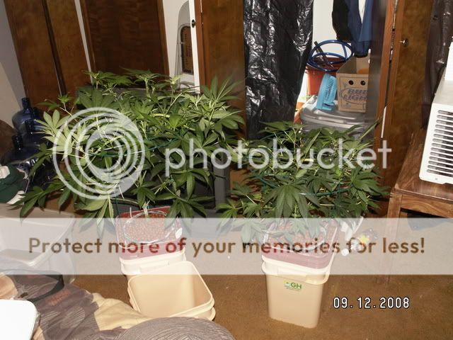PICT0412.jpg