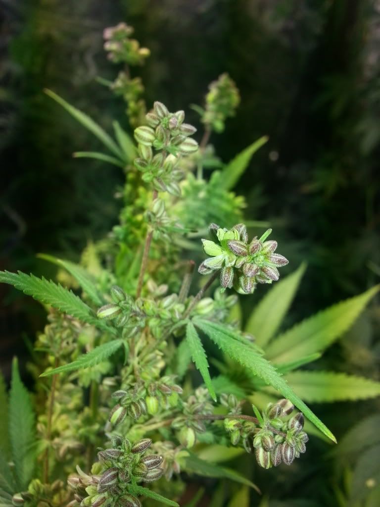20130421_183126.jpg