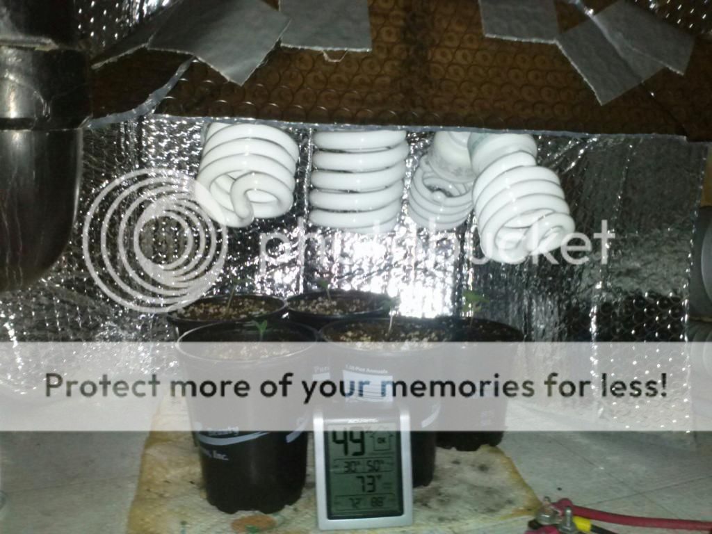 1224122204_zps26ba1351.jpeg