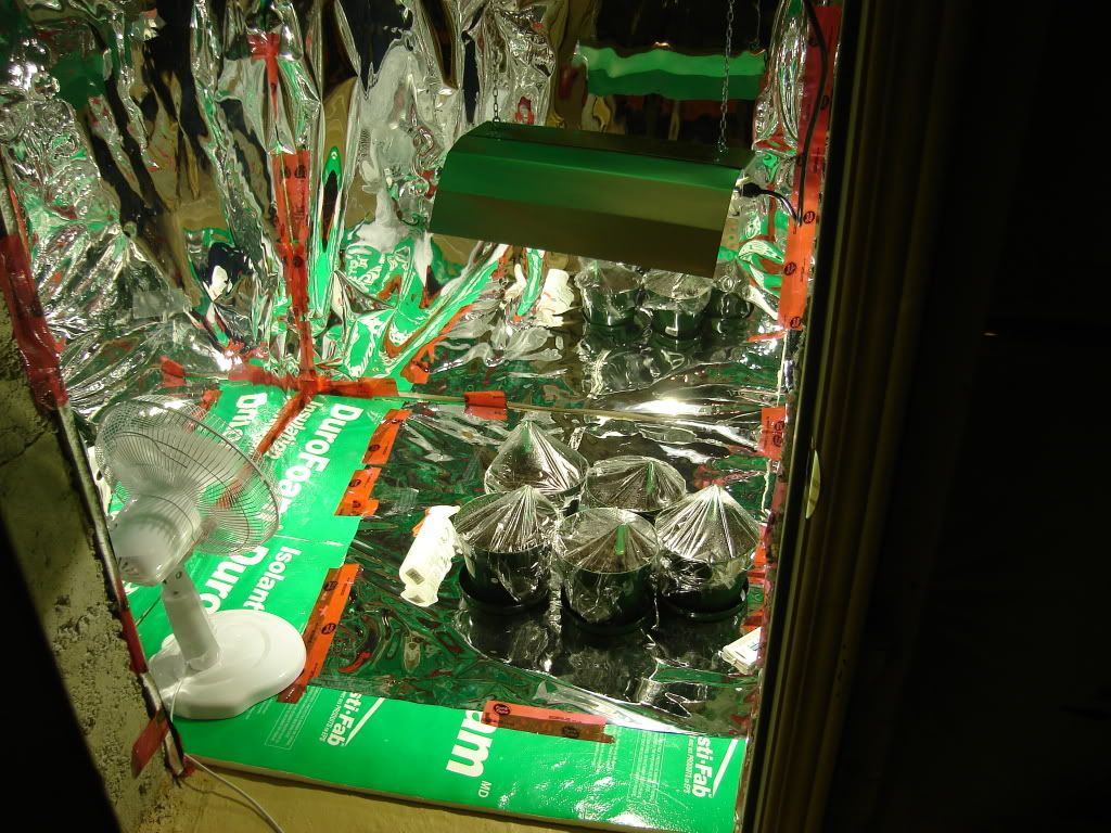 DSC02112.jpg