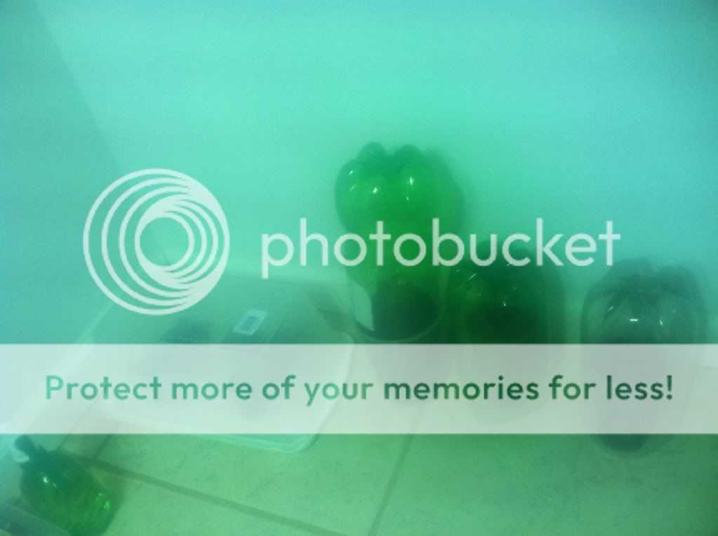 photo-9.jpg