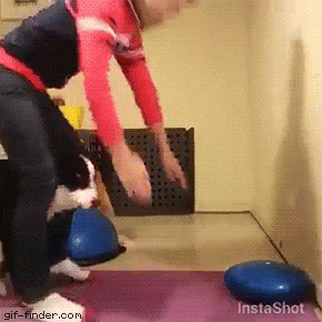 gifs_12.gif