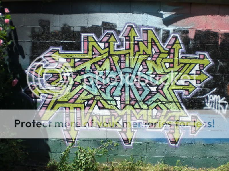 CIMG0495.jpg