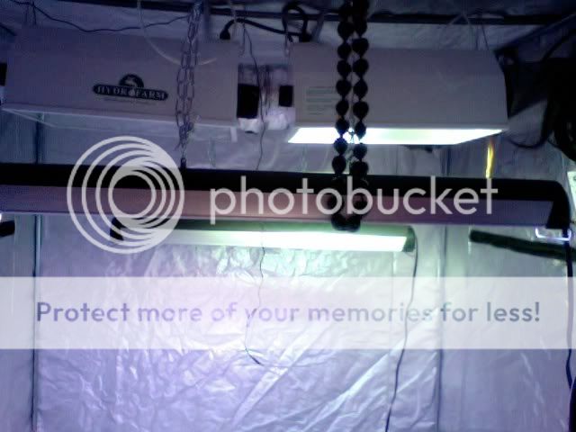 Photo7.jpg