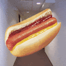 HDHW.gif
